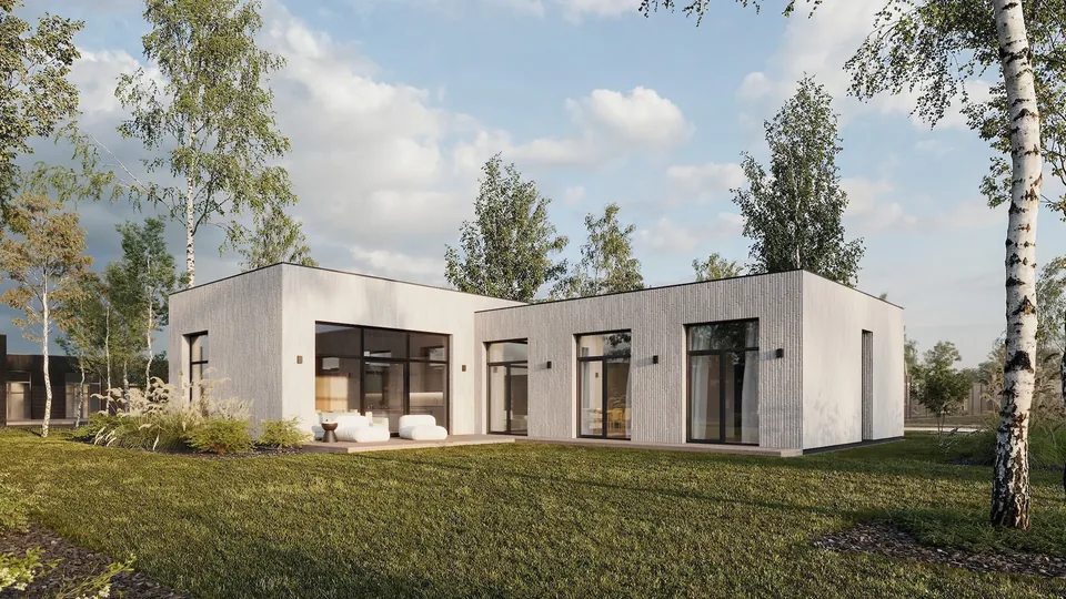 ROOTHAUS projekto pristatymo eksterjero vizualizacija: šviesus namas su vitrininiais langais tarp beržų.